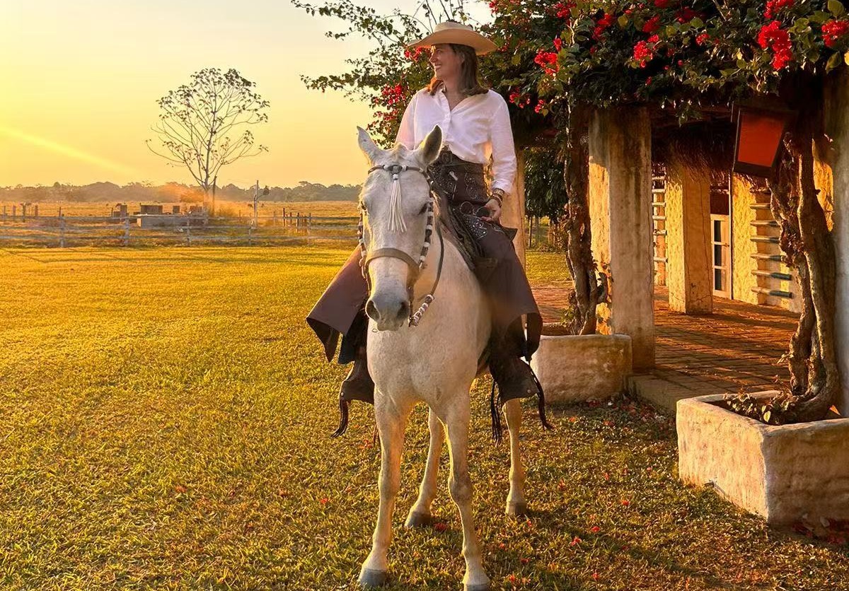 horse