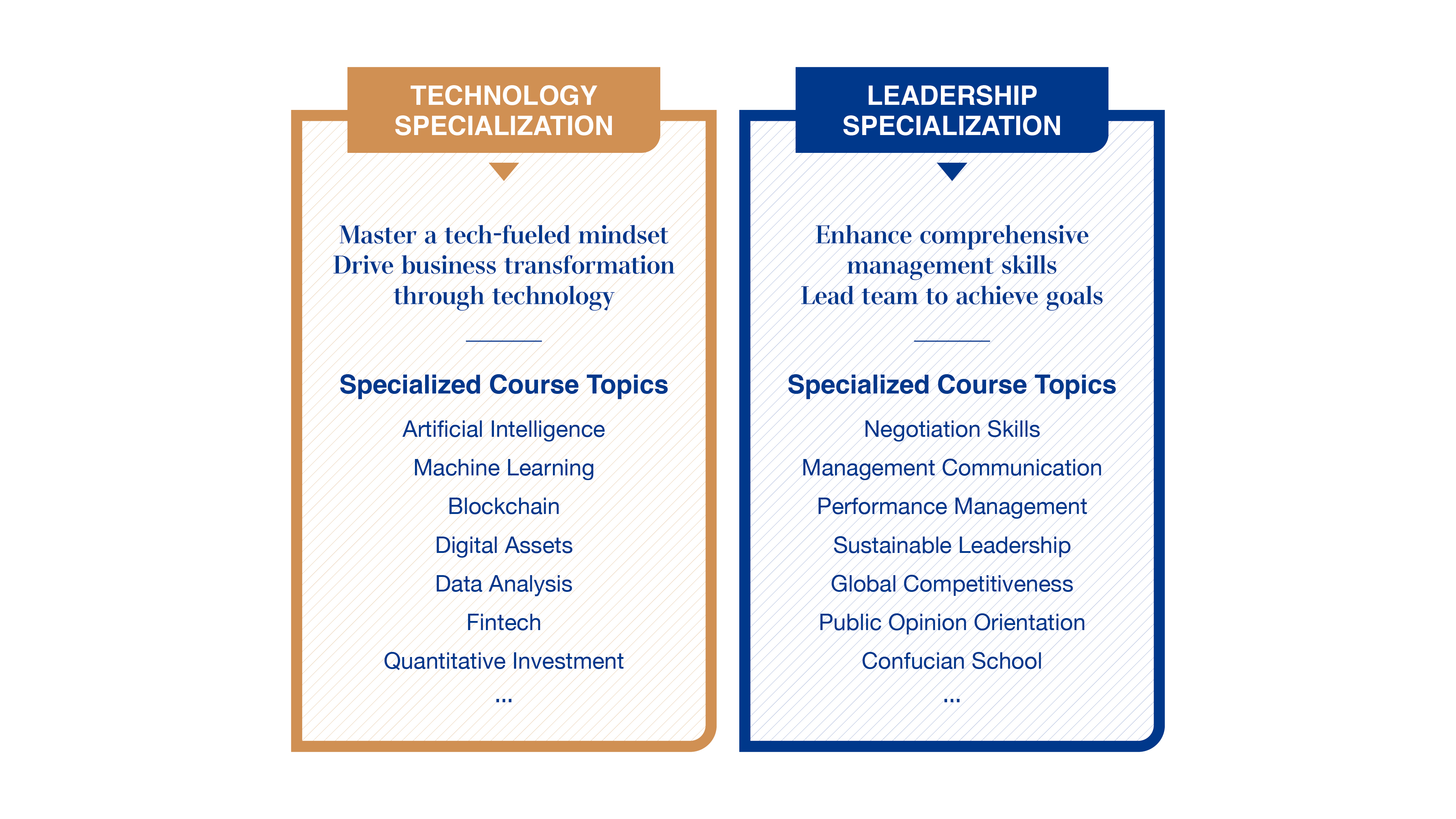 Curriculum Structure