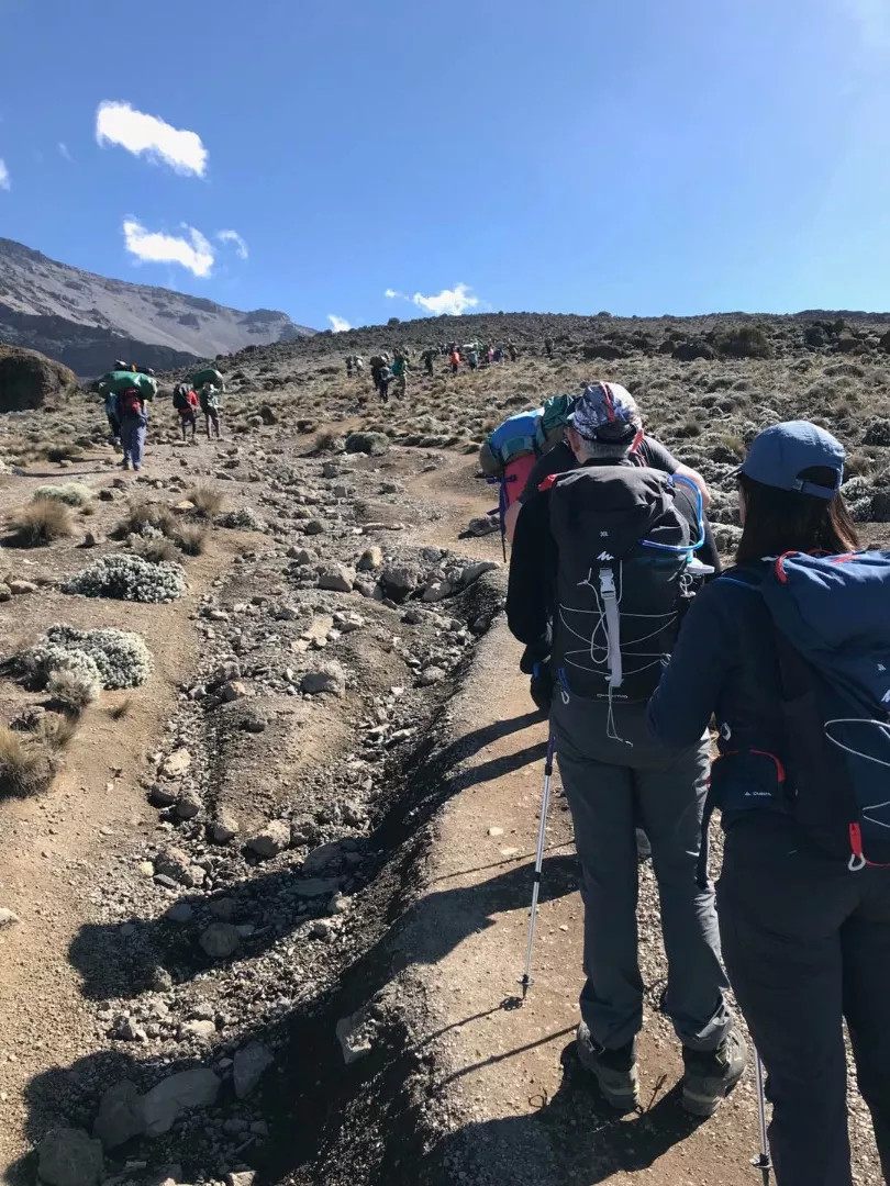 Trekking along Kilimanjaro