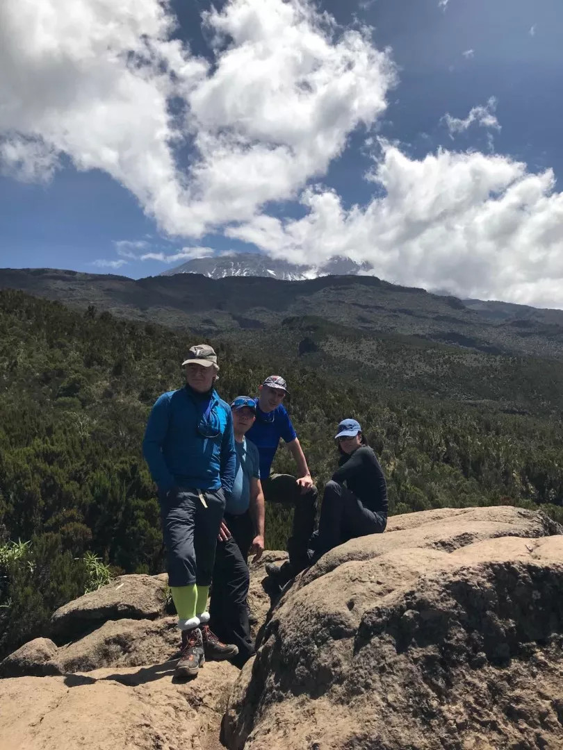 Kilimanjaro with forest backdrop