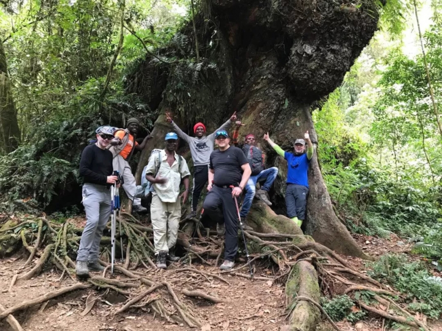 Kilimanjaro trek large tree group shot